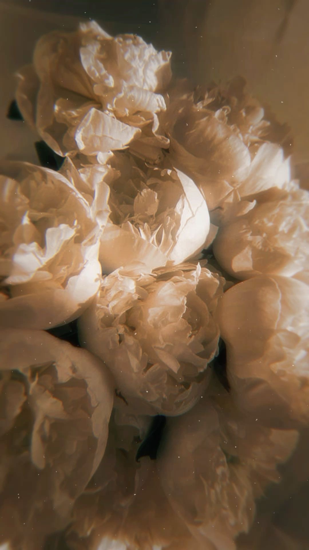 felt und found clarity session